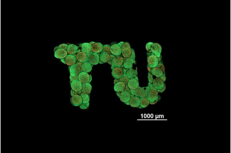 3D Printing for Artificial Cartilage: A Novel Tissue Engineering Approach