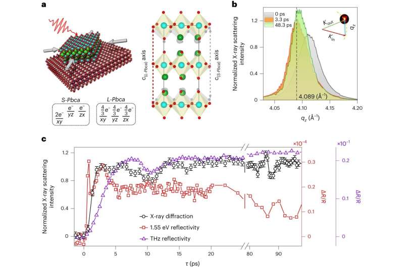 Photo-Induced Insulator-to-Metal Transition in Novel Materials for Advanced Technology