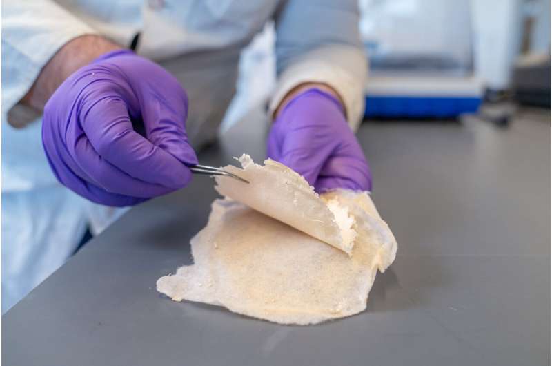 Nanofiber-Coated Bandages: Accelerating Wound Healing & Fighting Infection