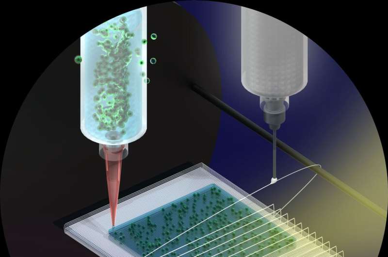3D Bioprinting of Tissues: Hydrogels and Fibers Advance Regenerative Medicine