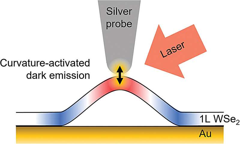 Nanoscale Phenomena in Tungsten Diselenide: Advanced Measurement Techniques