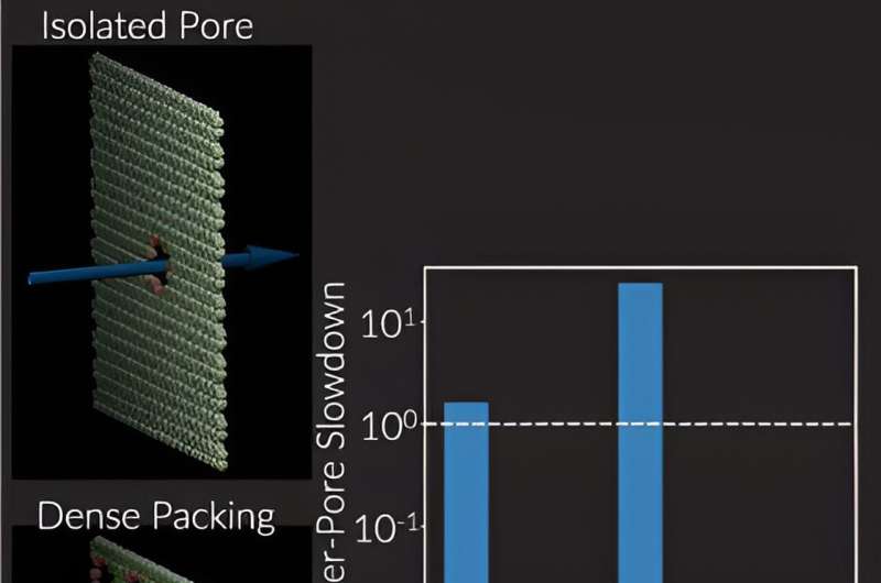 Nanoporous Membranes: Optimizing Pore Placement for Enhanced Filtration