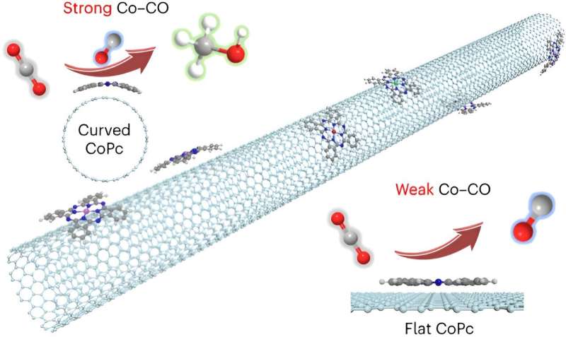 Carbon Nanotubes Boost Electrocatalysts for Carbon Neutrality