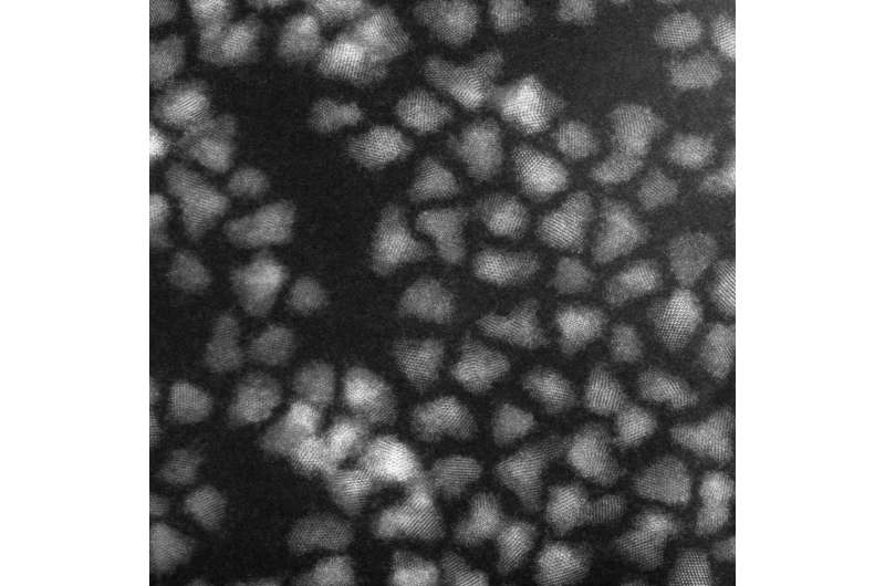 High-Performance InSb/InP Quantum Dots for Short-Wave Infrared Detectors