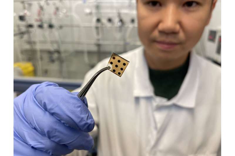 High-Performance InSb/InP Quantum Dots for Short-Wave Infrared Detectors