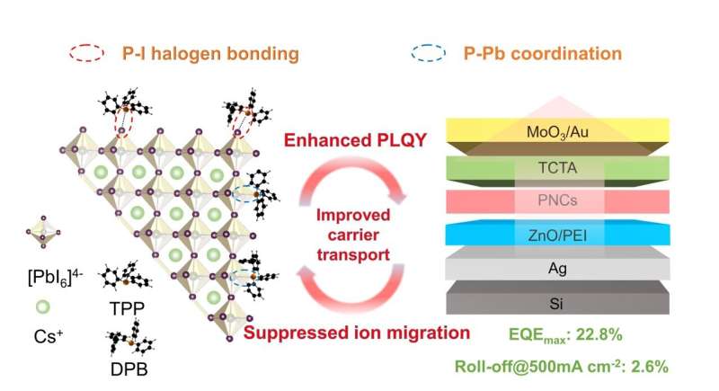Enhancing Perovskite LED Performance with Supramolecular Halogen Bonds