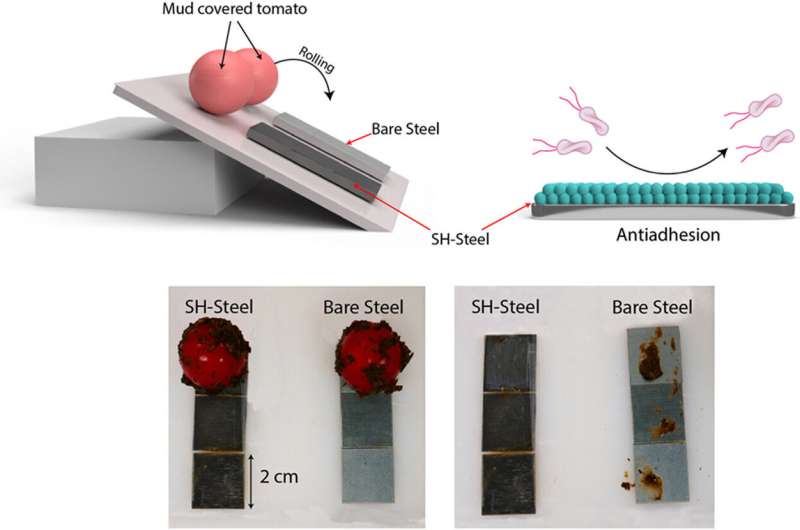 New Coating Solution Enhances Food Safety and Prevents Corrosion