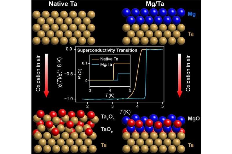 Magnesium Coating Enhances Tantalum for Quantum Computing Qubits