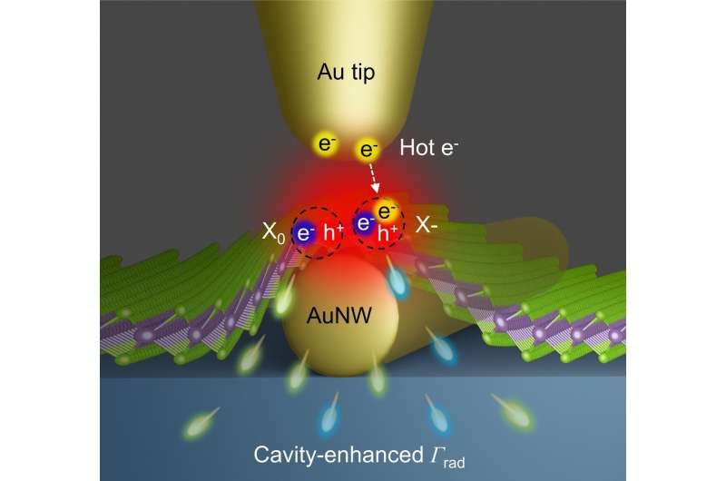 Gold Nanowire Spectroscopy Unveils Trion Generation in 2D Semiconductors
