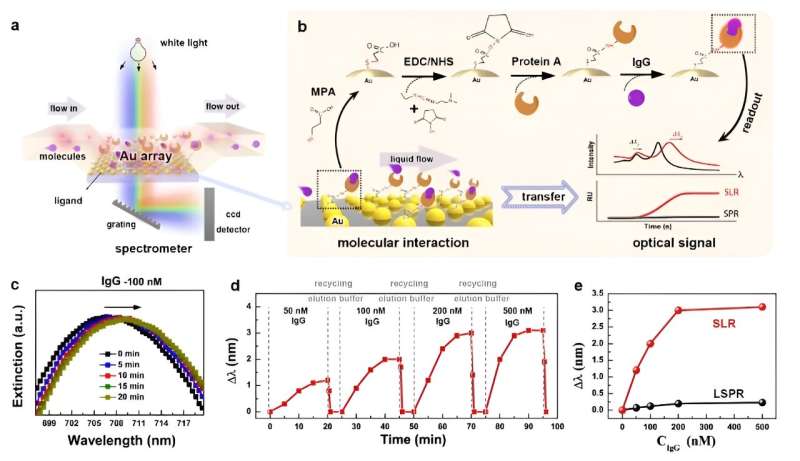 Self-Assembly of Gold Nanoparticle Arrays for Enhanced Biosensing