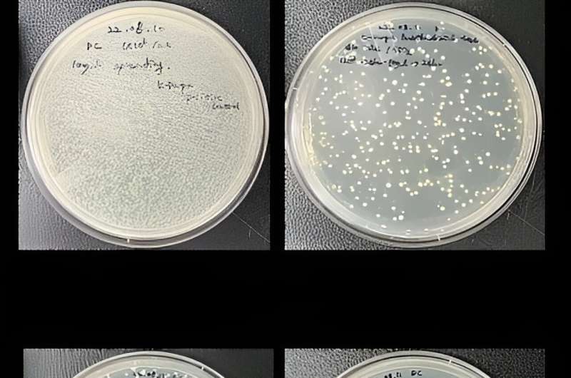 Antiviral Nanocoating Breakthrough: KIST Develops Advanced Technology