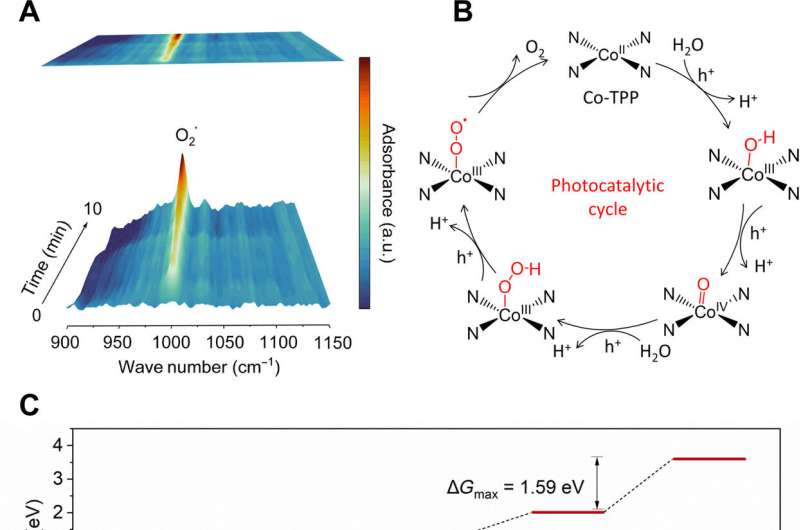 Ultrathin COF Nanosheets for High-Performance Photocatalytic Water Oxidation