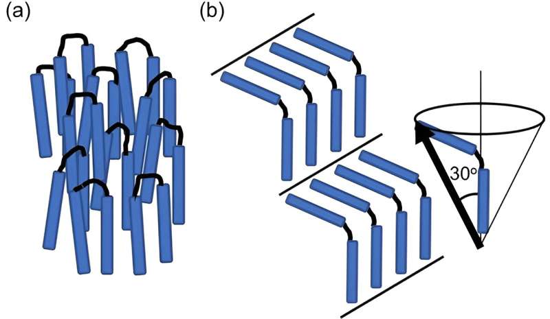 Novel Ferroelectric Liquid Crystal: High Polarization & Dielectric Properties at Low Temperatures