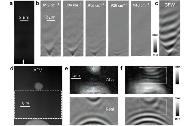 Polariton Propagation: Minimizing Optical Loss with Complex Frequency Waves