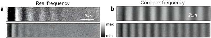 Polariton Propagation: Minimizing Optical Loss with Complex Frequency Waves