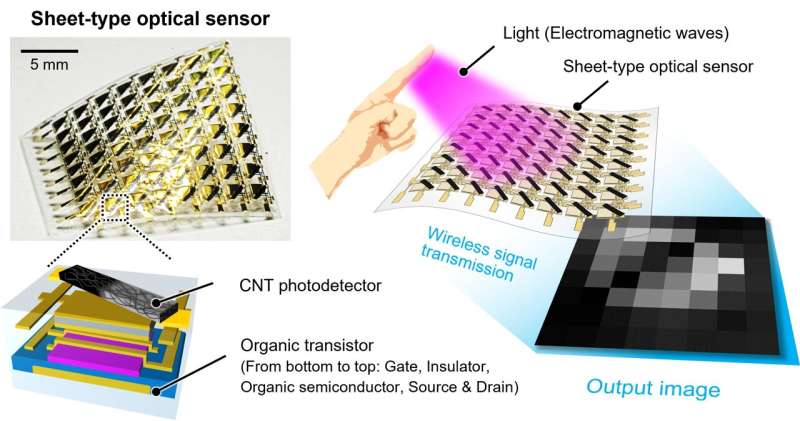 Organic Electronics Revolutionize Light Sensing Technology