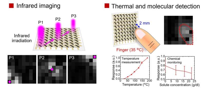 Organic Electronics Revolutionize Light Sensing Technology