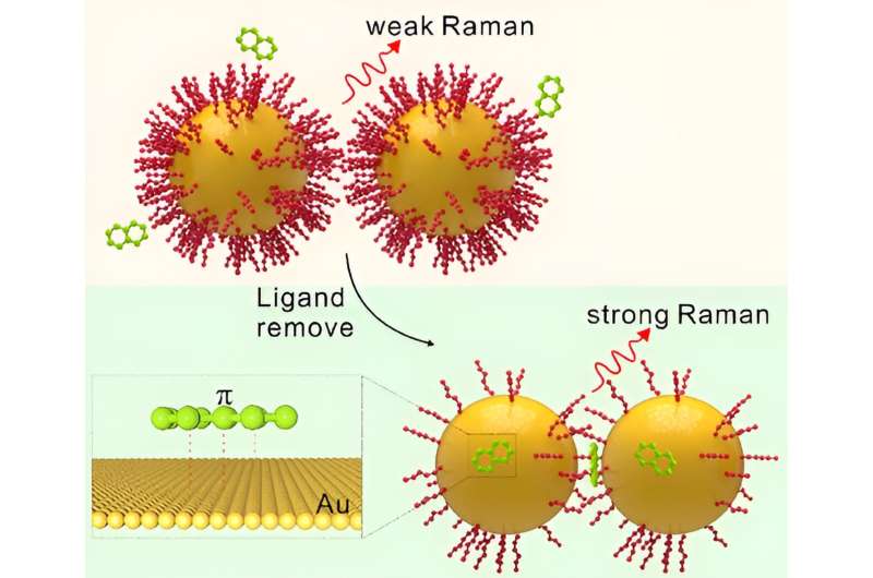 Gold Nanodimer Reveals Secrets of Aromatic Molecule Interactions