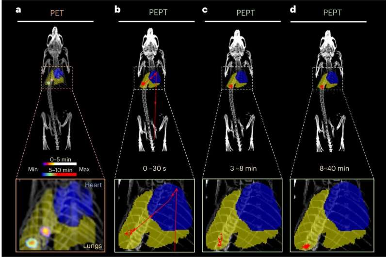 Groundbreaking Study: First-Ever Positron Emission Particle Tracking in a Living Animal