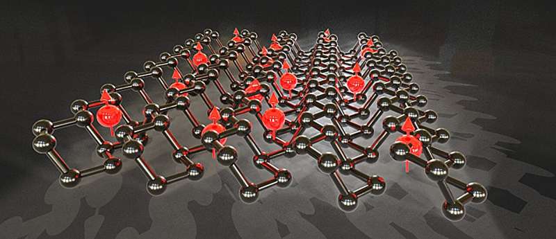 Black Phosphorus: A Novel Material for Advanced Spintronics