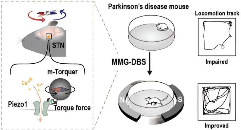 Magnetogenetics for Parkinson s: A Novel Approach to Deep Brain Stimulation