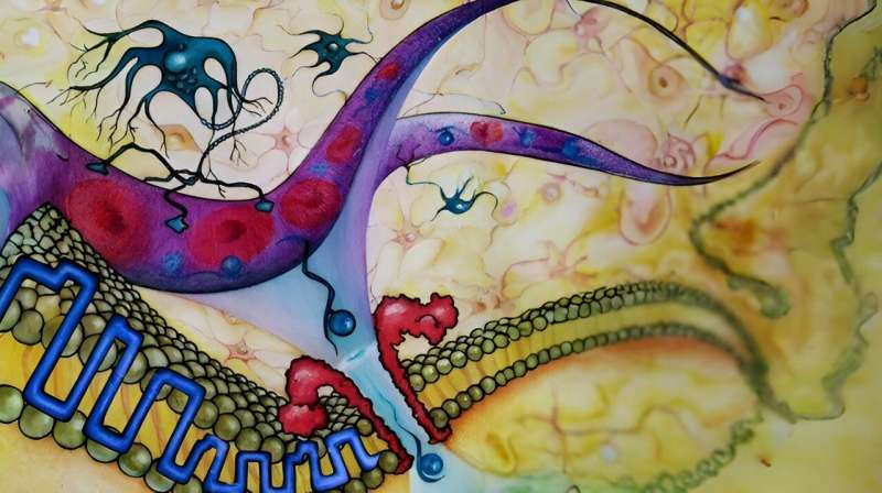 Deep Learning & Nanopores for Advanced Disease Diagnostics