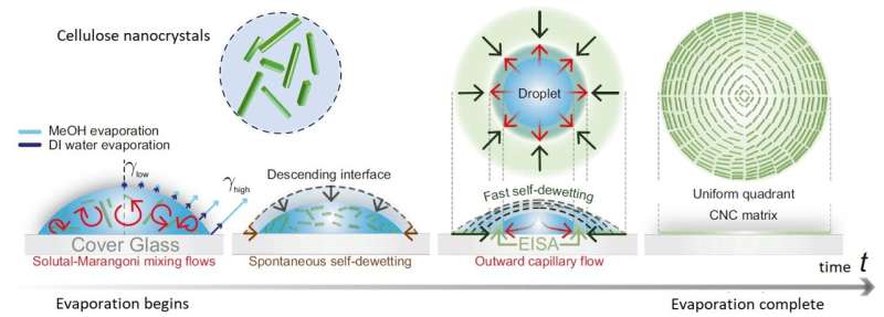 Sunlight-Powered Anti-Icing Film Developed by KAIST Researchers