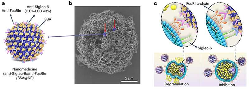Nanoparticle-Based Therapy Shows Promise in Preventing Anaphylaxis - Preclinical Study