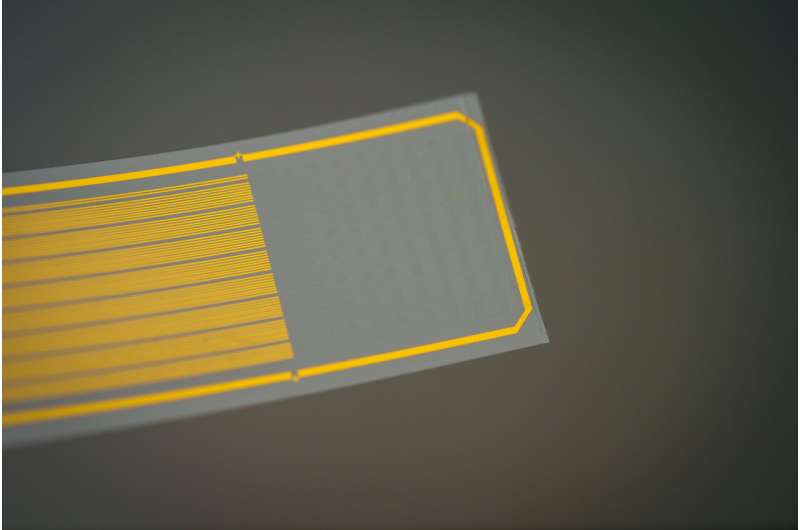 Novel Brain Implant Enables High-Resolution Neural Activity Monitoring