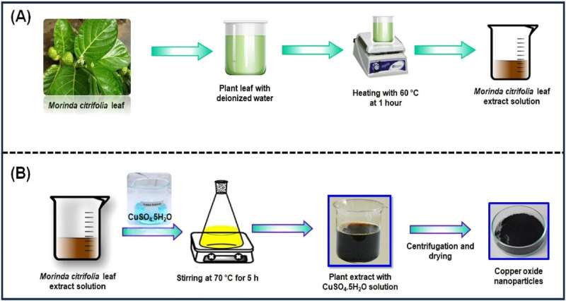 Eco-Friendly Copper Oxide Nanoparticles from Noni Plant: A Novel Synthesis Method