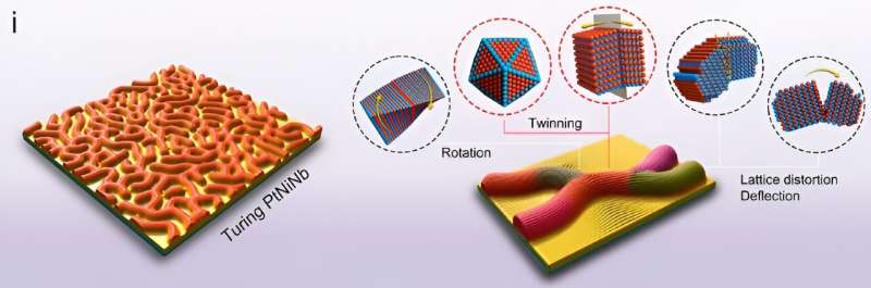Turing Structures for Efficient Hydrogen Production: Nanosheet Catalysts