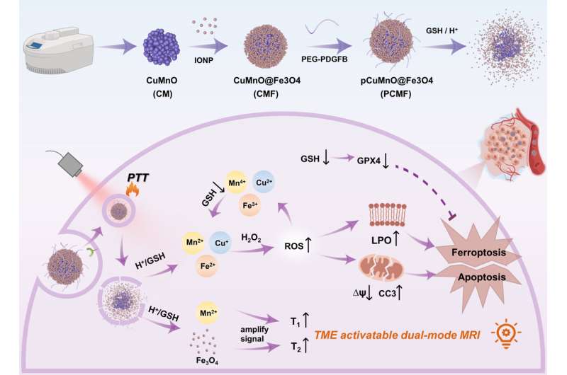 Novel Nanostructure for Precise Multi-Modal Tumor Therapy