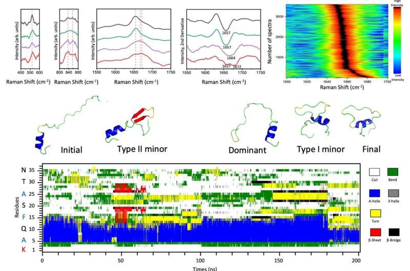Novel Single-Molecule Platform for Detecting Amylin Species