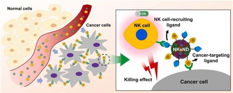 NK Cell-Engaging Nanodrones: A Breakthrough in Targeted Cancer Therapy