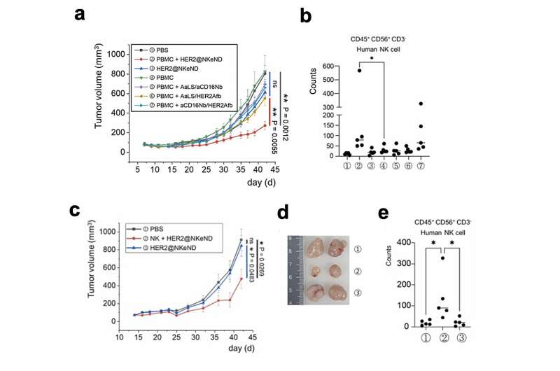 NK Cell-Engaging Nanodrones: A Breakthrough in Targeted Cancer Therapy