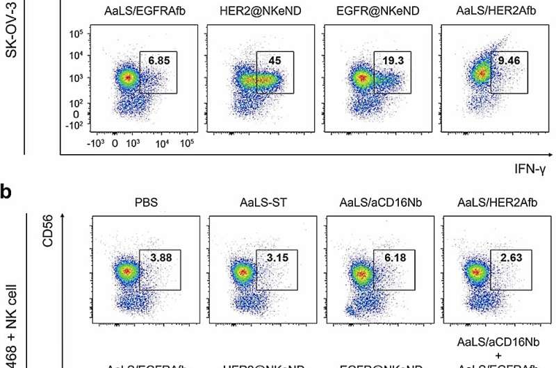 NK Cell-Engaging Nanodrones: A Breakthrough in Targeted Cancer Therapy
