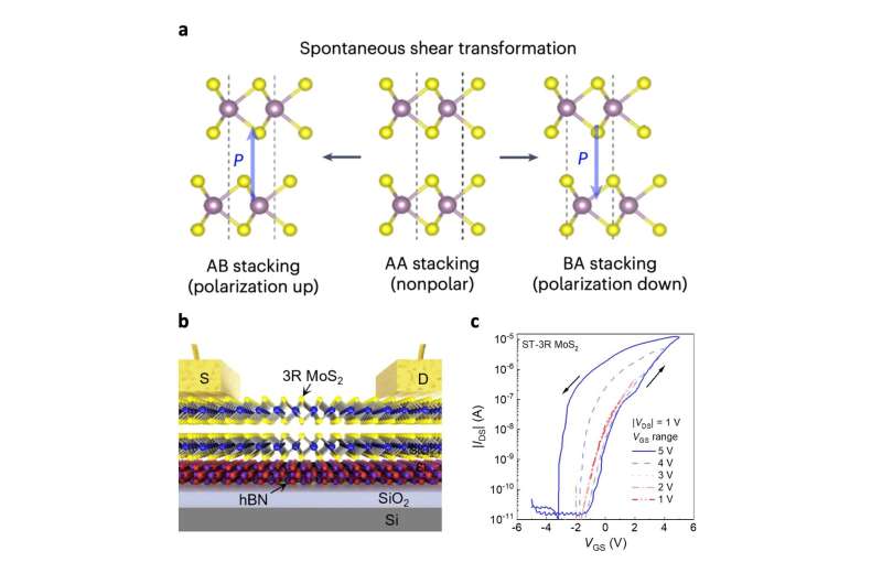 Polarity-Switchable Molybdenum Disulfide Transistors for Computing-in-Memory Applications