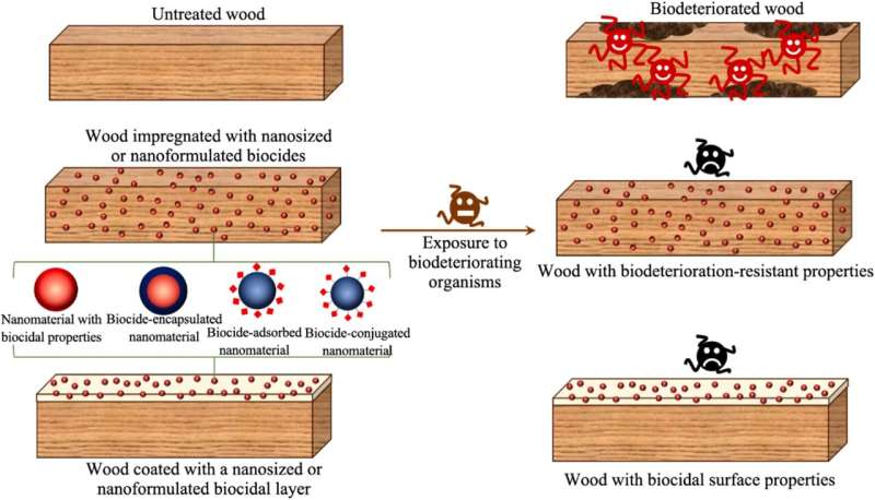 Nanotechnology for Biodeterioration-Resistant Wood: Innovative Approaches