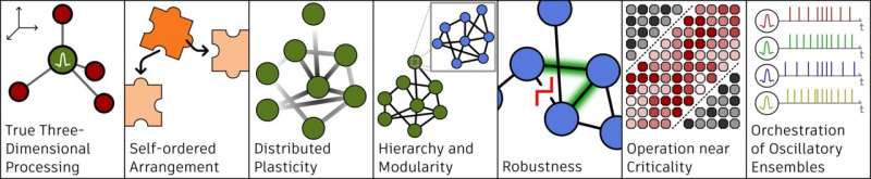 Biologically Inspired Computing: New Materials for Energy-Efficient AI