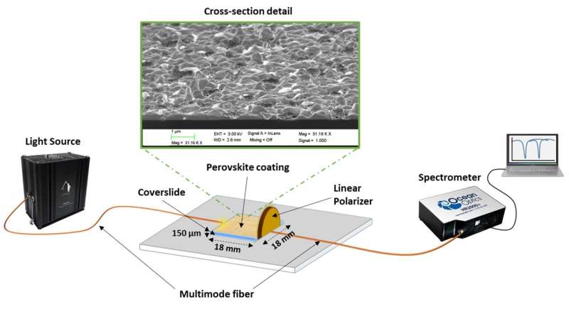 Perovskite Nanofilms for Lossy Mode Resonance Optical Sensors
