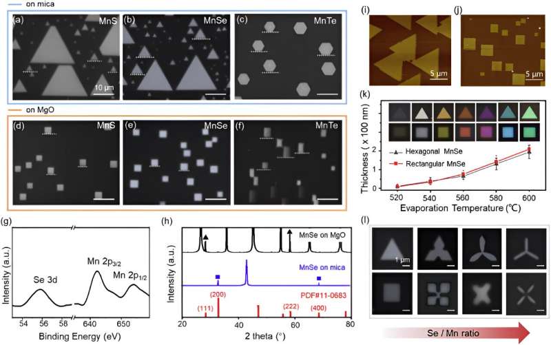 Precise Growth of 2D Materials with Single-Facet Symmetry | Advanced Materials Research