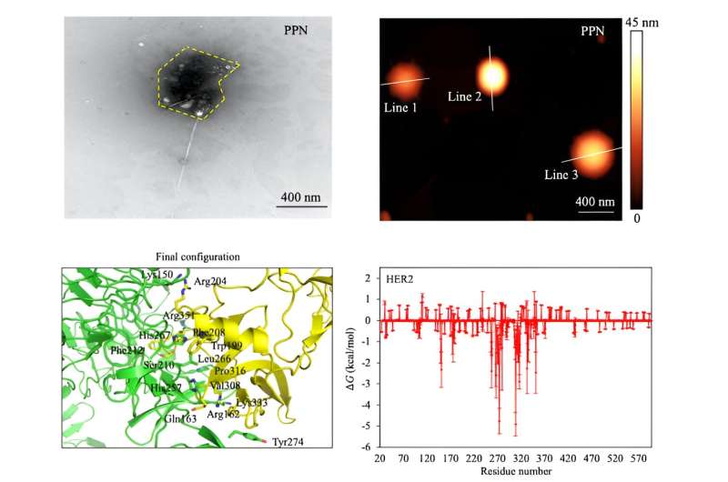 Enhanced Nanomaterial Cancer Sensor for Improved Early Detection