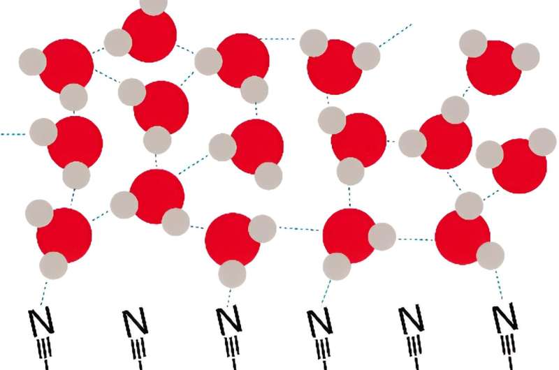 Computer Simulation Reveals Water Molecule Behavior at Metal Electrodes