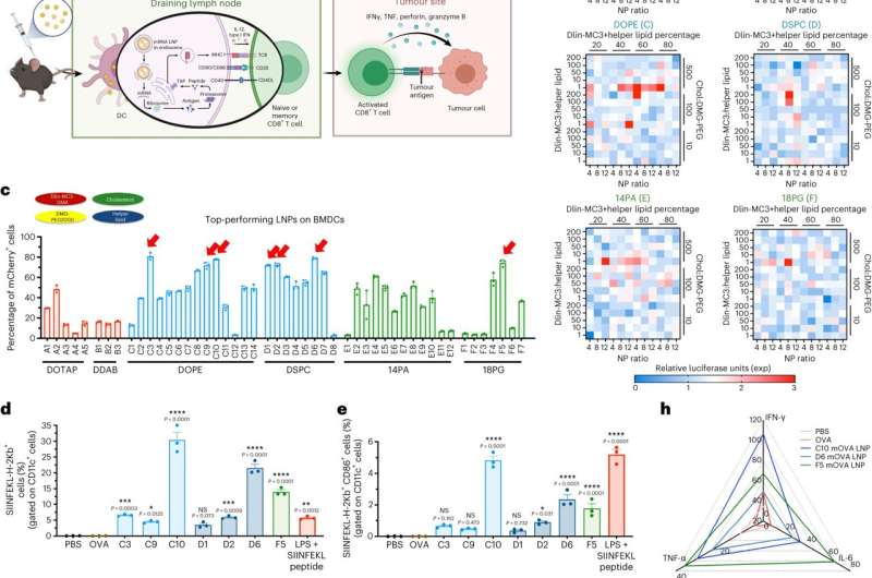 Nanoparticles Boost Cancer Vaccine Efficacy: A Breakthrough in Immunotherapy