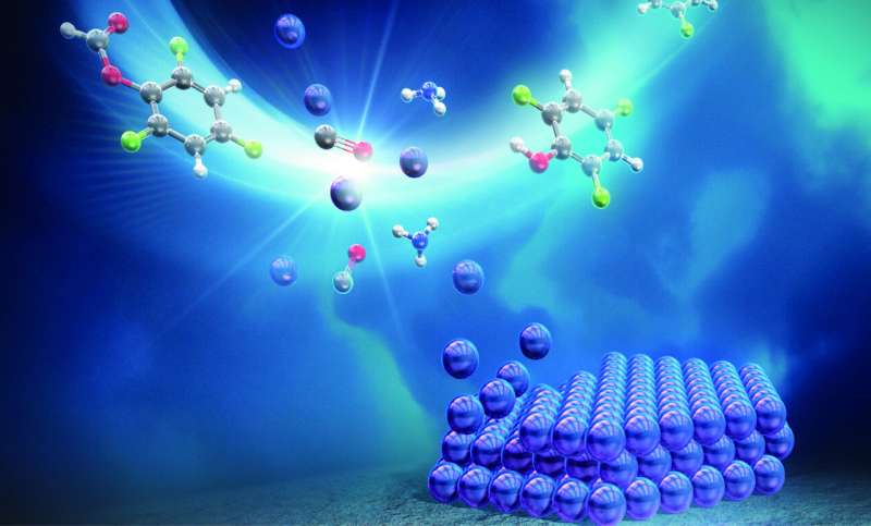 One-Pot Nanosheet Synthesis for Sustainable Green Energy