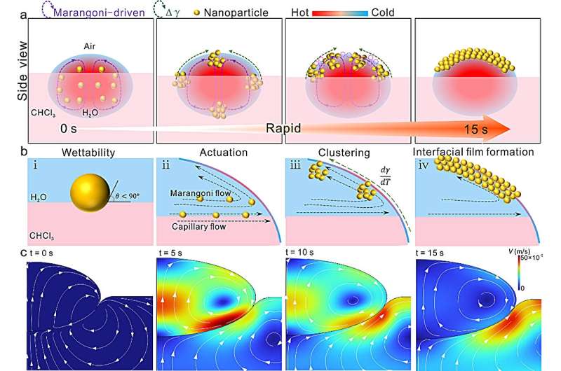 Enhanced SERS Sensing via Novel Three-Phase Nanoparticle Assembly