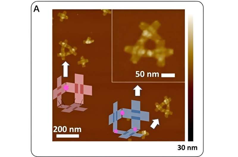 Self-Replicating DNA Nanorobots: A Breakthrough in Medicine and Environmental Cleanup
