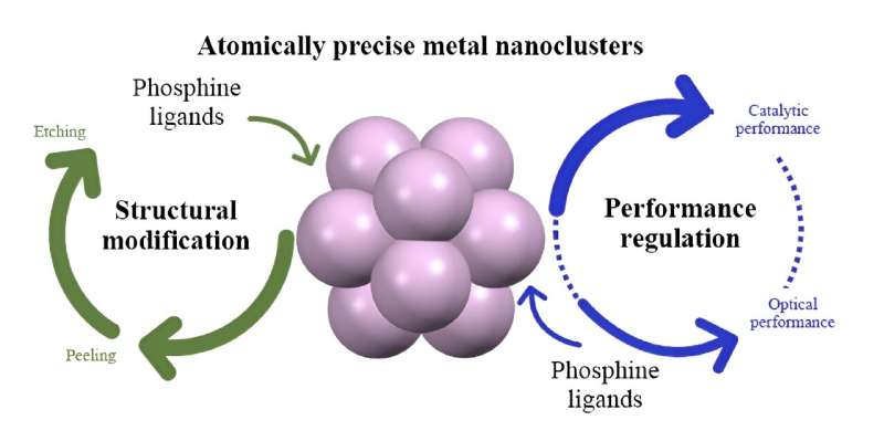 Phosphine Ligand Transformation of Metal Nanoclusters: A Review