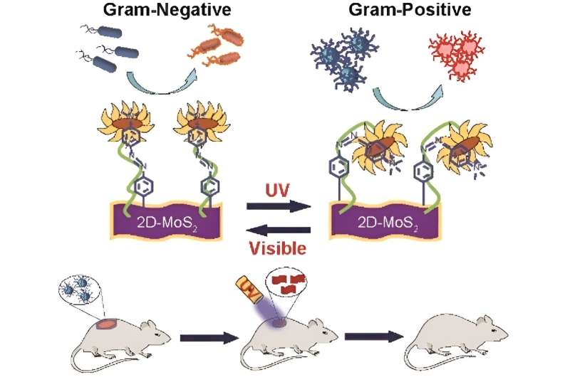 Light-Activated Nanomaterial Kills Bacteria, Offering New Hope Against Infections