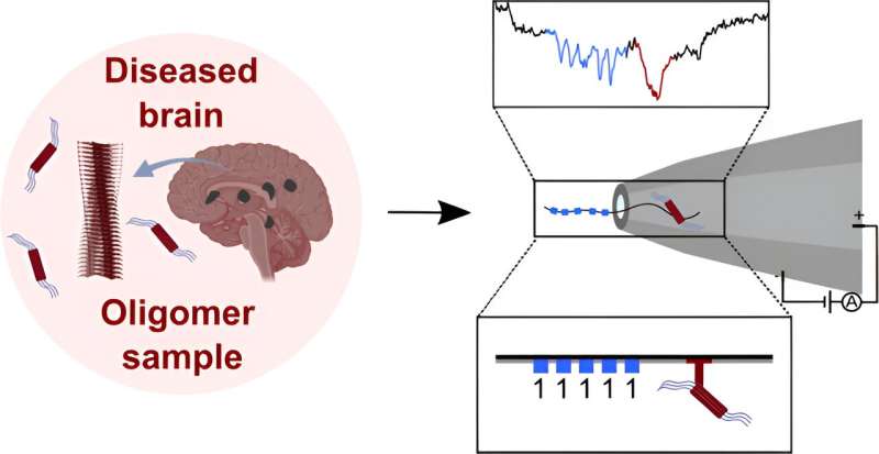Novel Method for Detecting Misfolded Proteins in Neurodegenerative Diseases